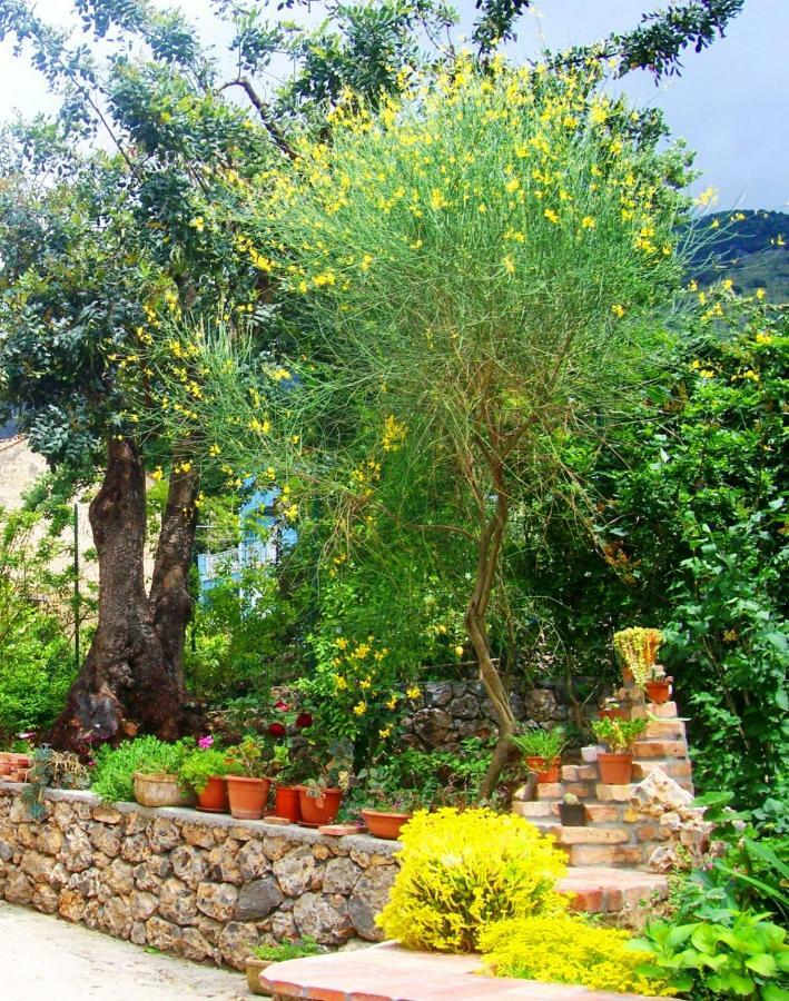 B&B La Casa Del Gelso Acquafredda Luaran gambar