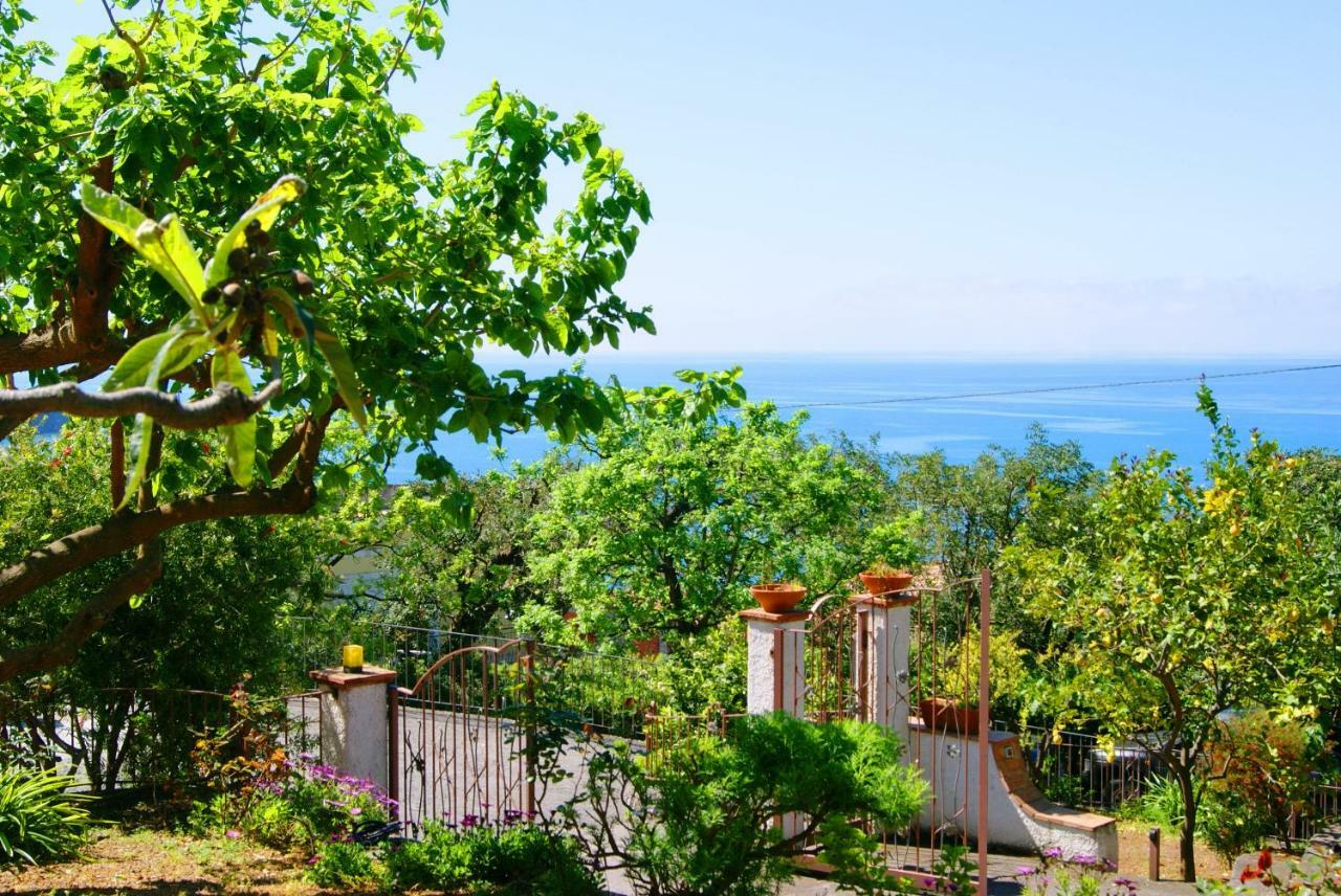 B&B La Casa Del Gelso Acquafredda Luaran gambar