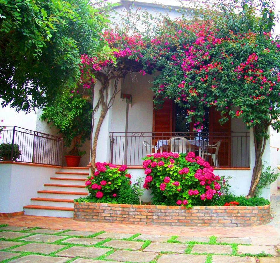 B&B La Casa Del Gelso Acquafredda Luaran gambar