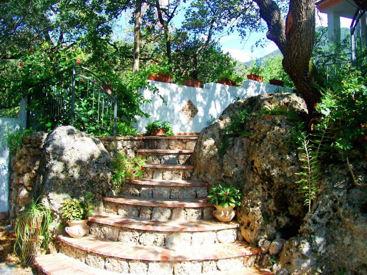 B&B La Casa Del Gelso Acquafredda Luaran gambar