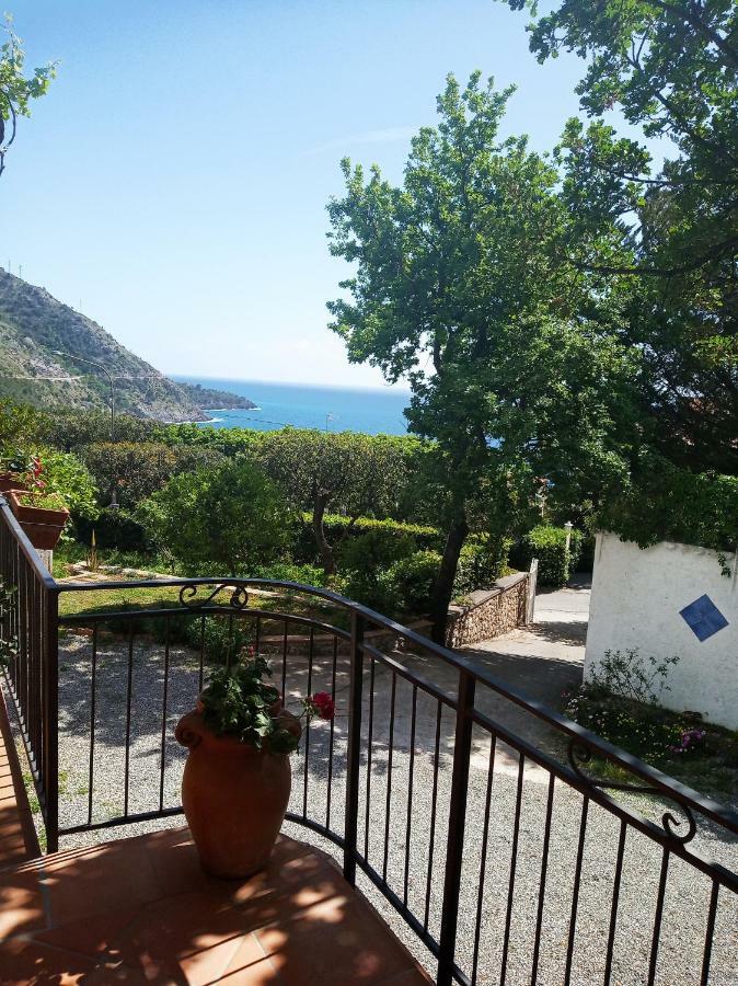 B&B La Casa Del Gelso Acquafredda Luaran gambar