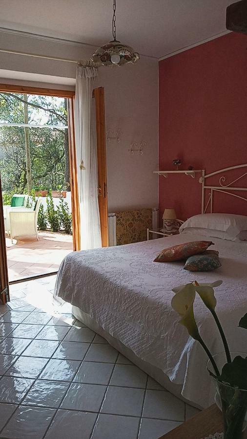 B&B La Casa Del Gelso Acquafredda Luaran gambar