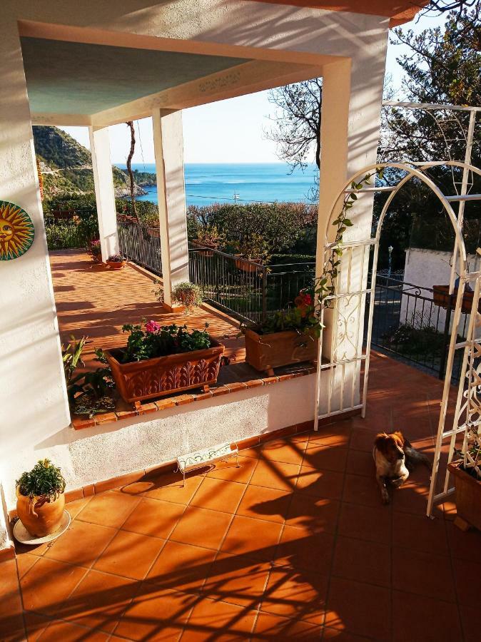 B&B La Casa Del Gelso Acquafredda Luaran gambar