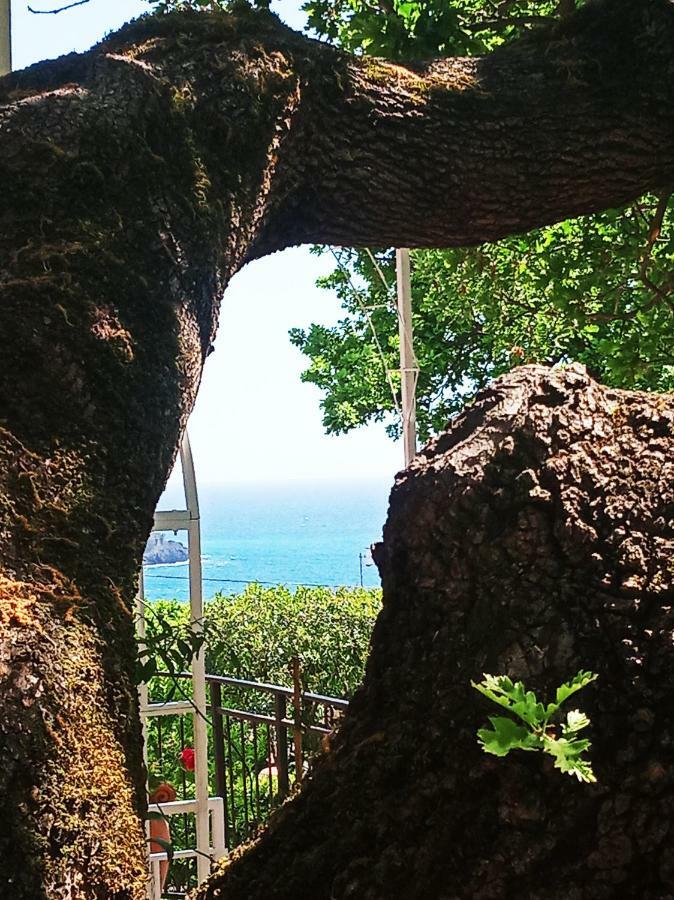 B&B La Casa Del Gelso Acquafredda Luaran gambar