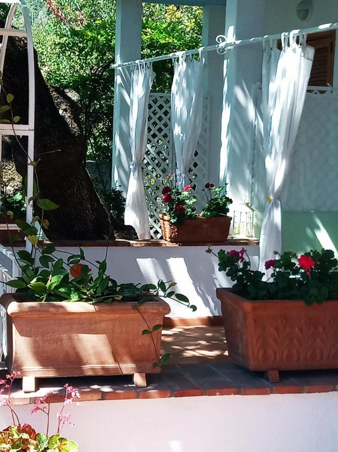 B&B La Casa Del Gelso Acquafredda Luaran gambar